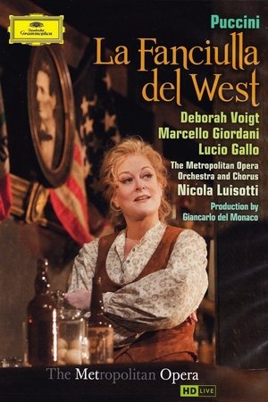 gallo