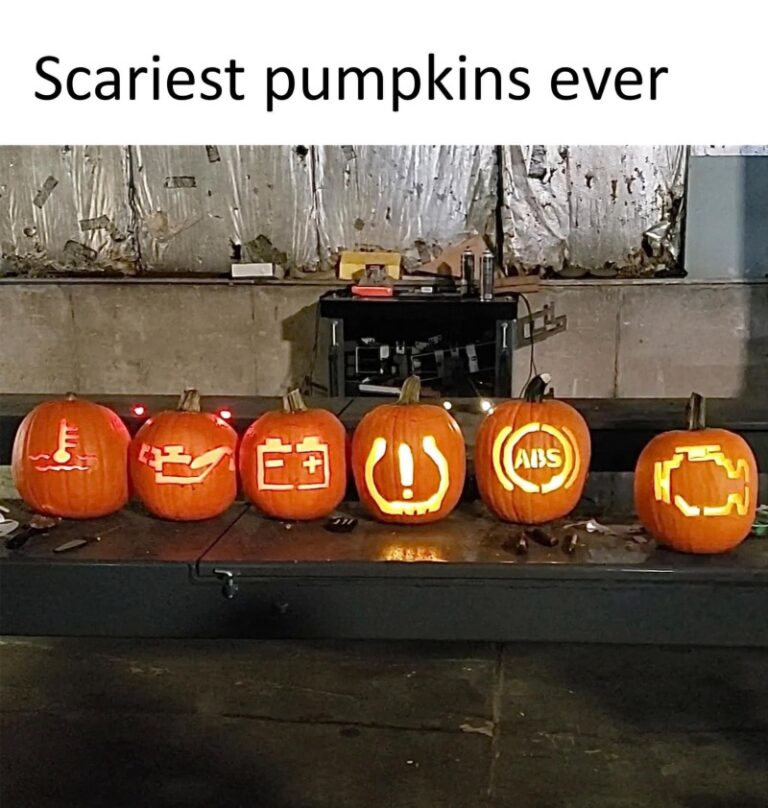 pumpkins